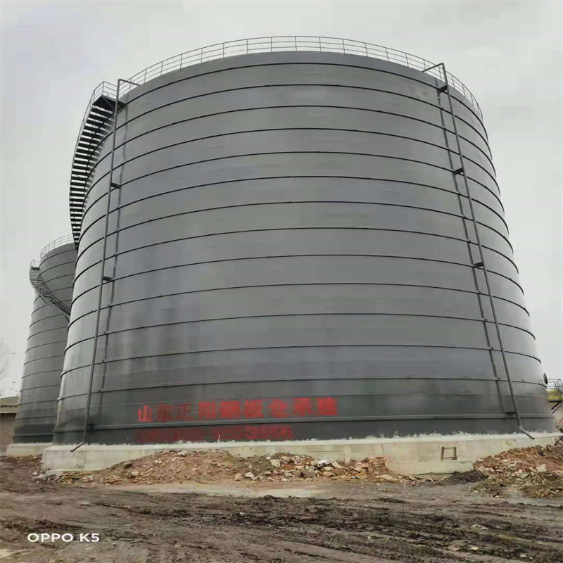 覃塘3万吨大型钢板库